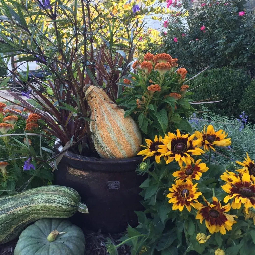 Custom lawn care service in Columbia, IL by Gardens of Grace