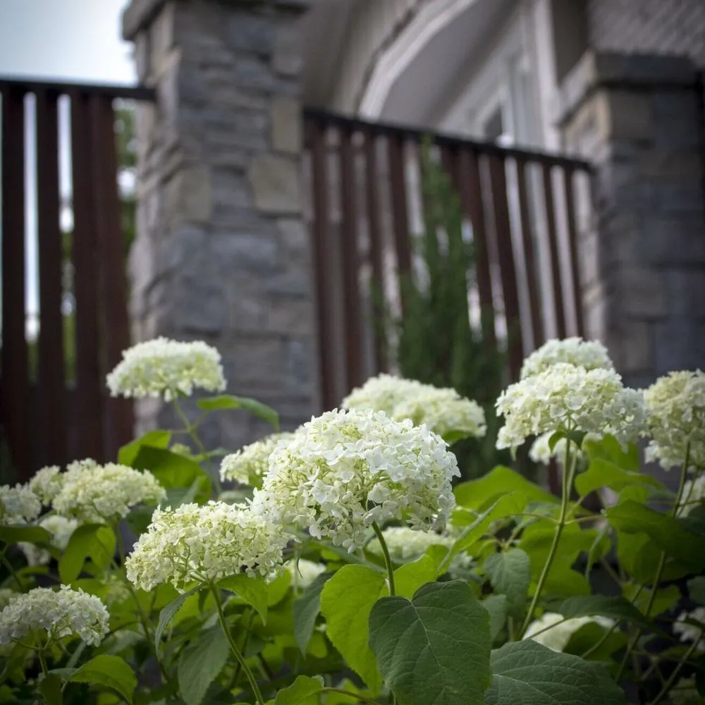 Custom yard cleanup service in Columbia, IL - Gardens of Grace