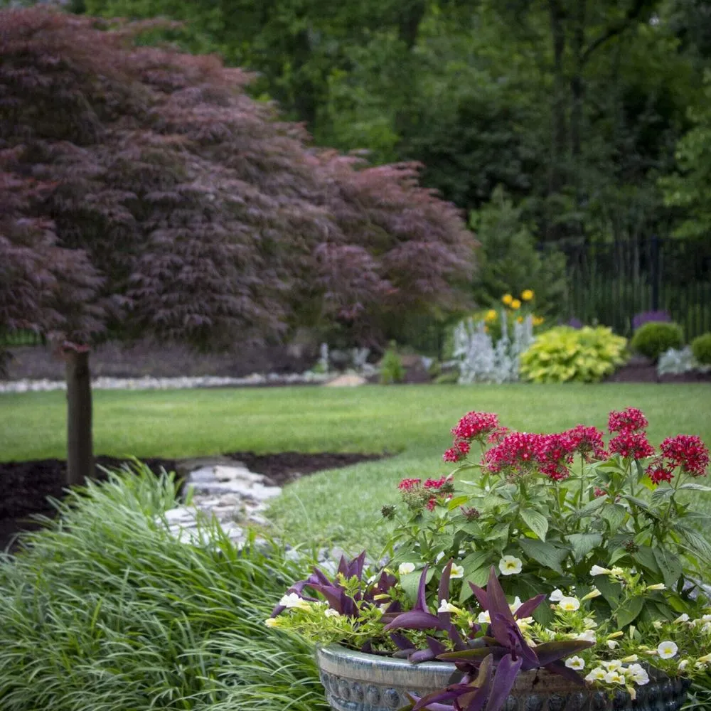 Expert garden landscaping for beautiful yards across Columbia, IL - Gardens of Grace