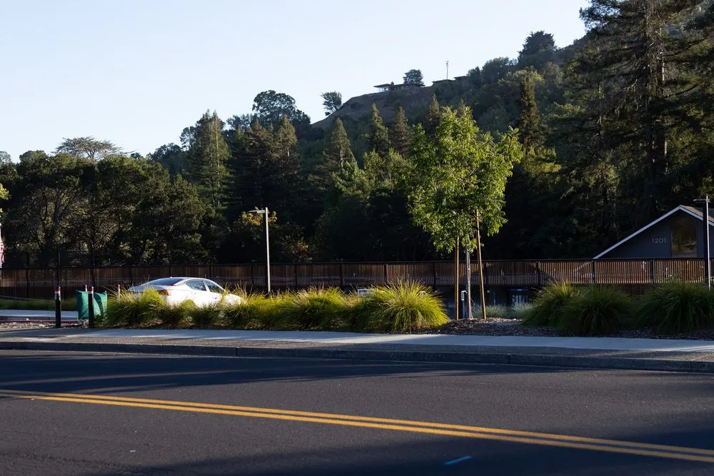 Expert garden landscaping in Sebastopol, CA - Gardens of the Wine Country