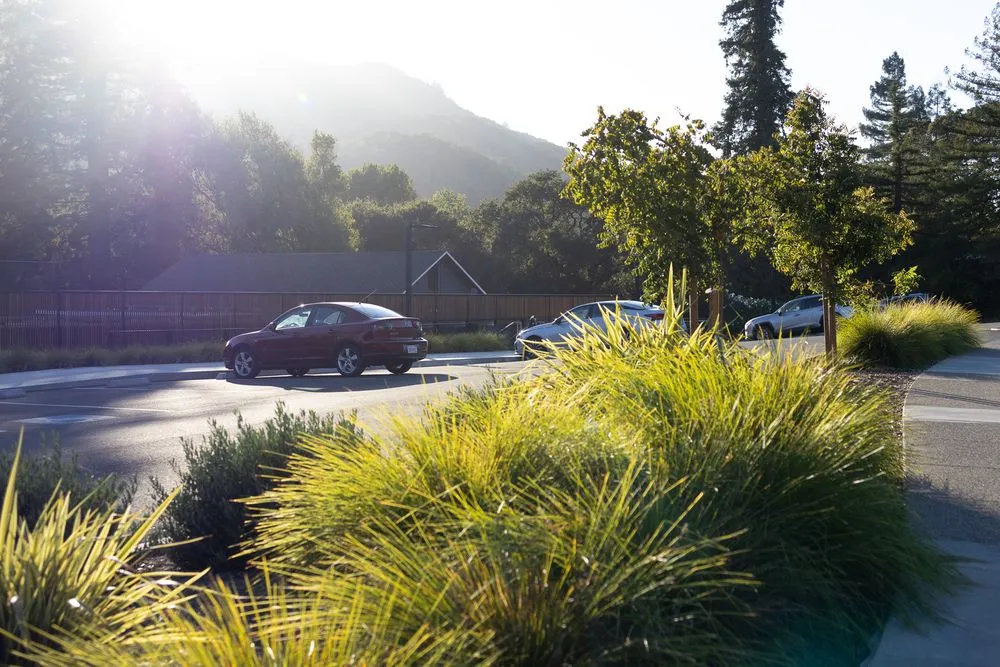 Professional lawn care service for beautiful yards in Sebastopol, CA by Gardens of the Wine Country