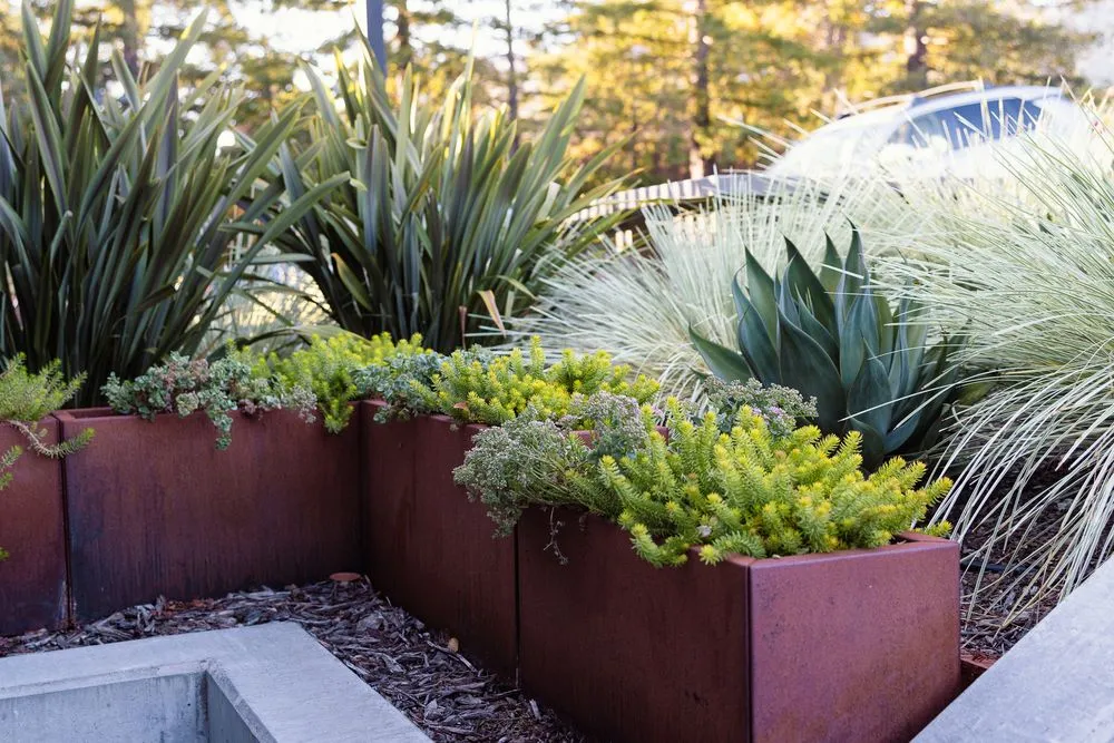 Local lawn care service with custom design in Sebastopol, CA by Gardens of the Wine Country