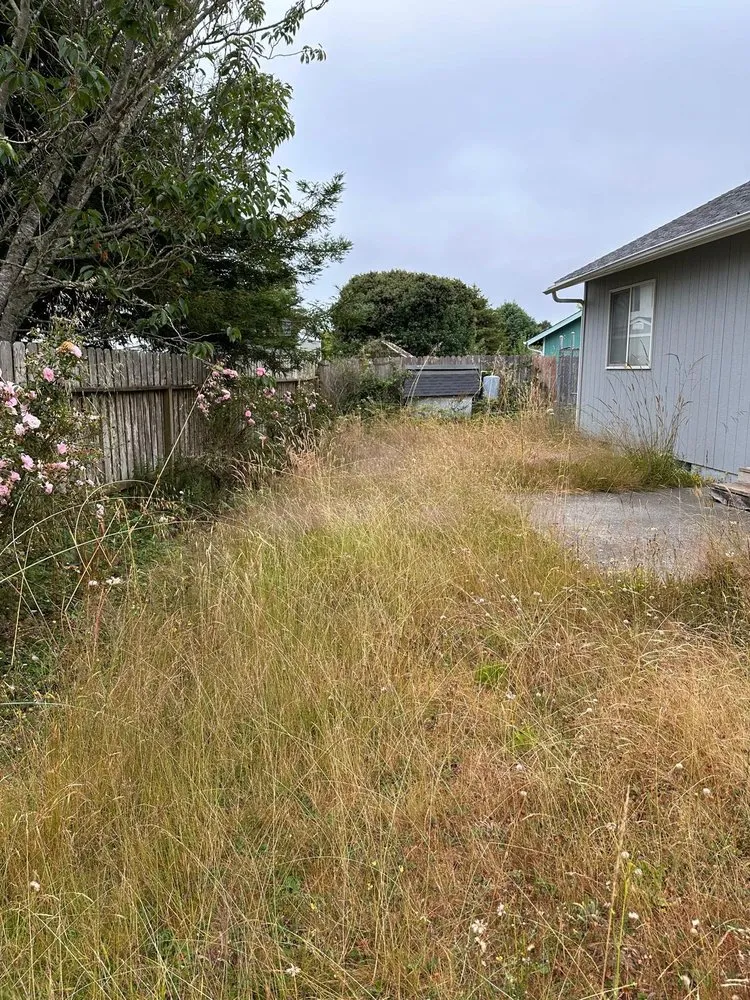 Custom garden landscaping for year-round maintenance across Fortuna, CA - Gardens Salgado