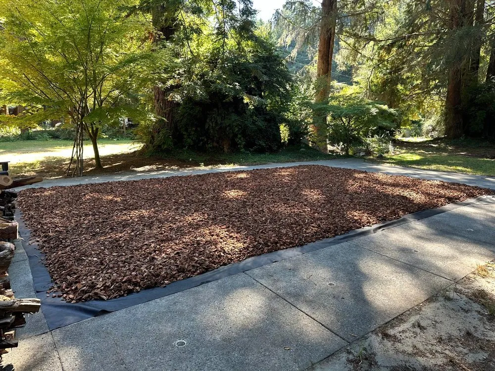 Top-rated lawn care service experts serving Fortuna, CA - Gardens Salgado