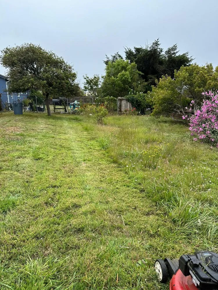 Reliable outdoor landscaping with custom design in Fortuna, CA by Gardens Salgado
