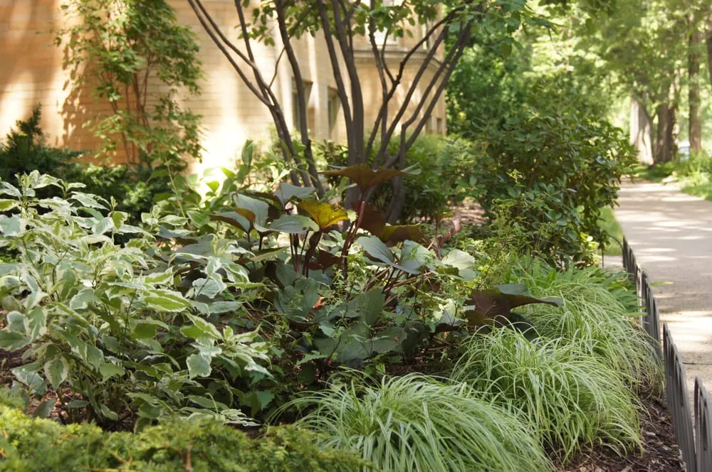 Professional landscape design experts serving Chicago, IL - Gardens That Grow