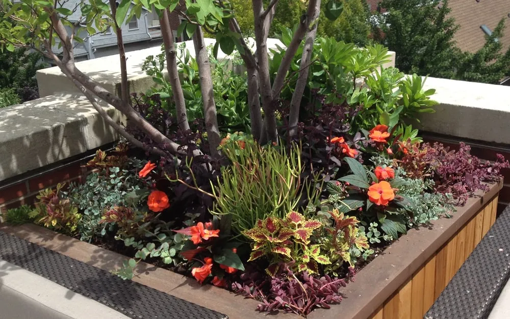 Reliable landscape installation for beautiful yards in Chicago, IL by Gardens That Grow