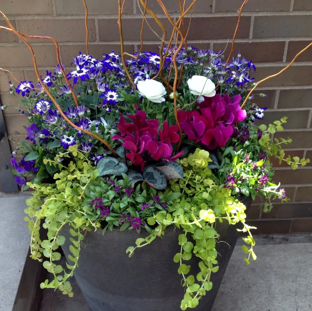 Trusted lawn care service for beautiful yards across Chicago, IL - Gardens That Grow