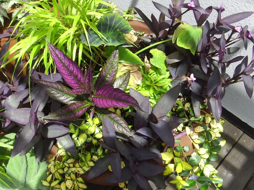 Professional garden landscaping with custom design in Chicago, IL by Gardens That Grow