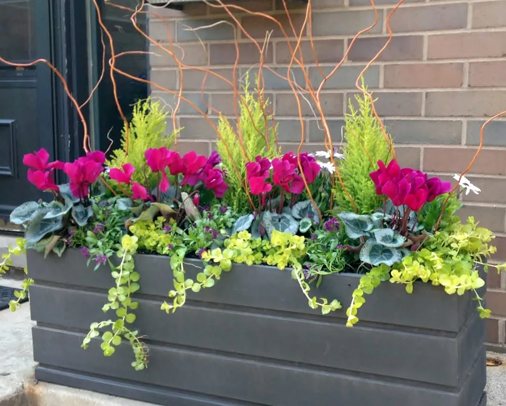 Reliable residential landscaping for outdoor upgrades across Chicago, IL - Gardens That Grow