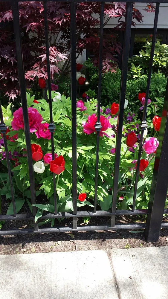 Reliable landscaping services for outdoor upgrades across Chicago, IL - Gardens That Grow