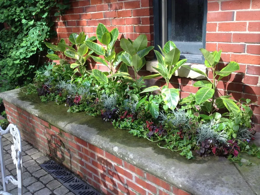 Top-rated lawn mowing service for year-round maintenance across Chicago, IL - Gardens That Grow