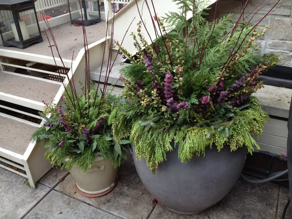 Local yard cleanup service in Chicago, IL - Gardens That Grow