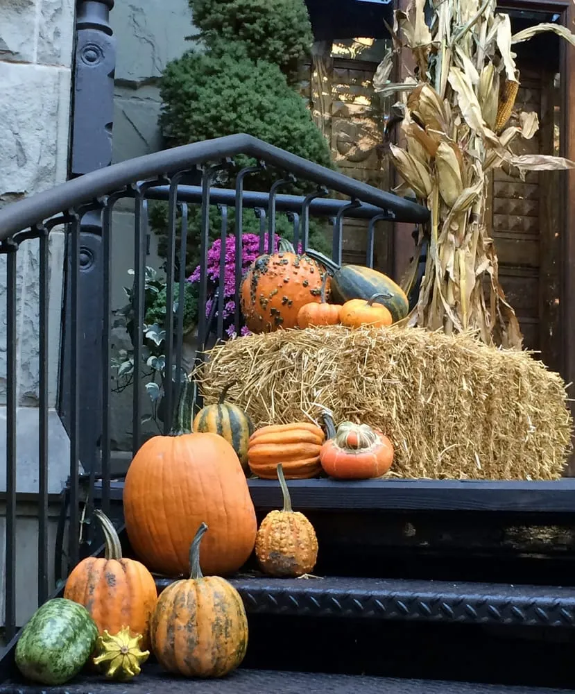 Trusted lawn care service experts serving Chicago, IL - Gardens That Grow