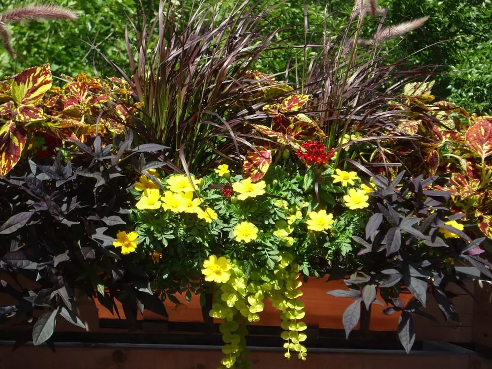 Custom outdoor landscaping experts serving Chicago, IL - Gardens That Grow