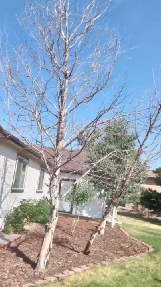 Affordable residential landscaping near you across Colorado Springs, CO - Gardens Tree Service