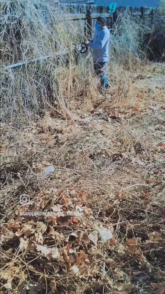 Expert residential landscaping for beautiful yards across Colorado Springs, CO - Gardens Tree Service