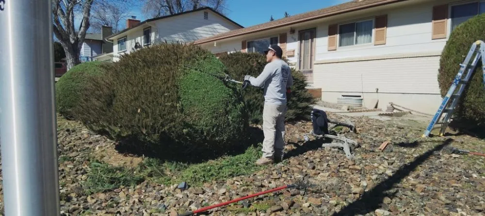 Professional landscape design in Colorado Springs, CO - Gardens Tree Service