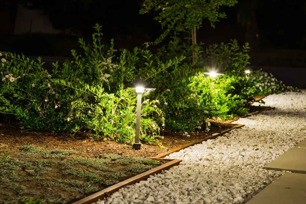 Local yard cleanup service experts serving Lake Forest, CA - Gardens Tune Up