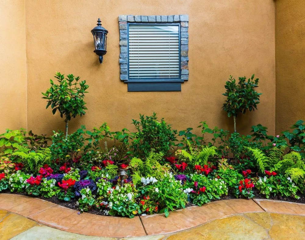 Expert residential landscaping experts serving Lake Forest, CA - Gardens Tune Up