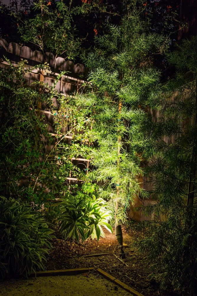 Professional yard maintenance in Lake Forest, CA by Gardens Tune Up