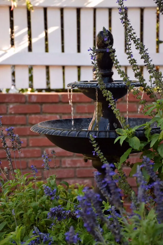 Reliable yard maintenance for year-round maintenance in West Hills, CA by Gardens West Landscape Inc.