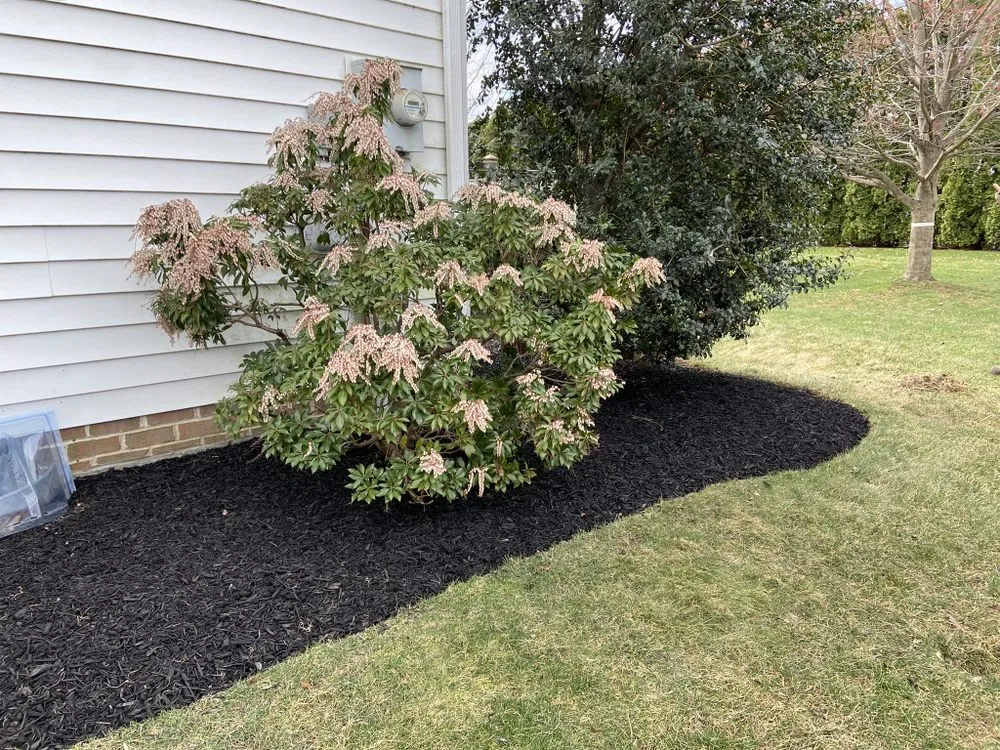 Custom yard cleanup service in York, PA - Gardenscapes By Hans