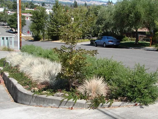 Top-rated yard cleanup service for outdoor upgrades across Petaluma, CA - GardenTender