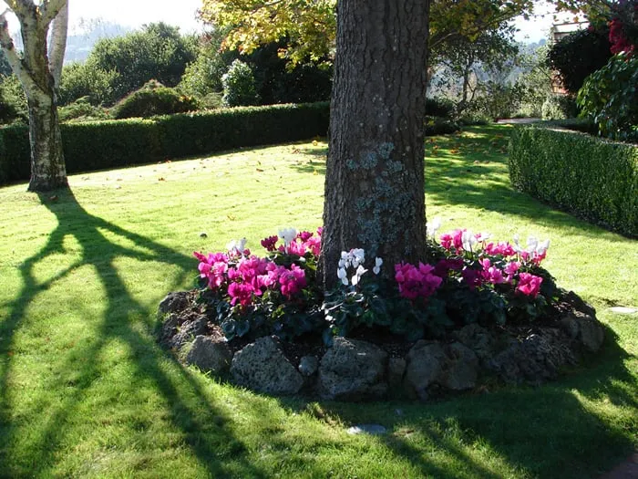 Expert landscape design for year-round maintenance across Petaluma, CA - GardenTender