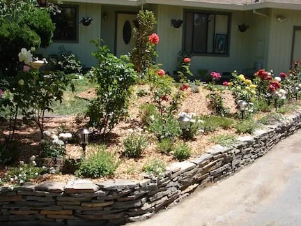 Expert yard maintenance with custom design across Petaluma, CA - GardenTender