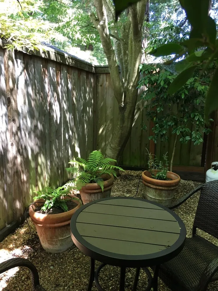 Expert yard cleanup service in Petaluma, CA by GardenTender