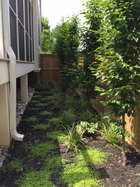 Local yard maintenance for beautiful yards in Arlington, VA by GardenWise