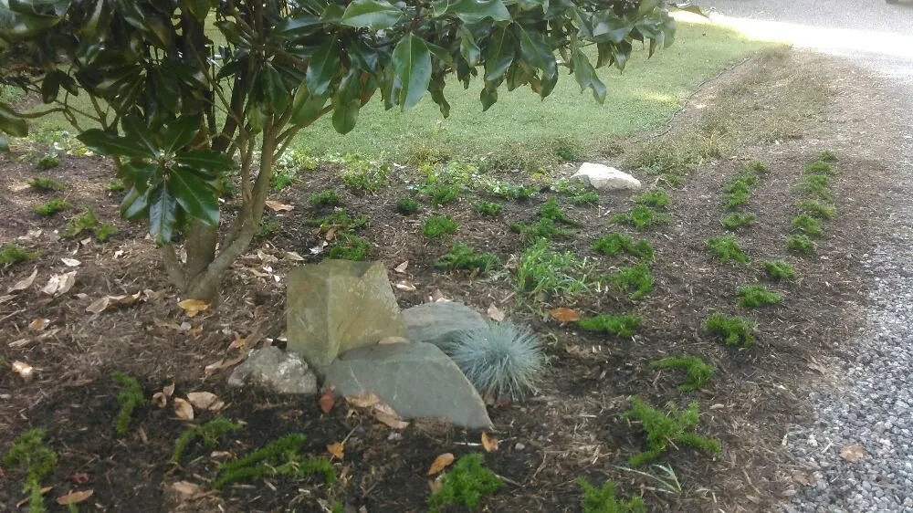 Trusted outdoor landscaping experts serving Charlottesville, VA - Gardenworks Landscape Services