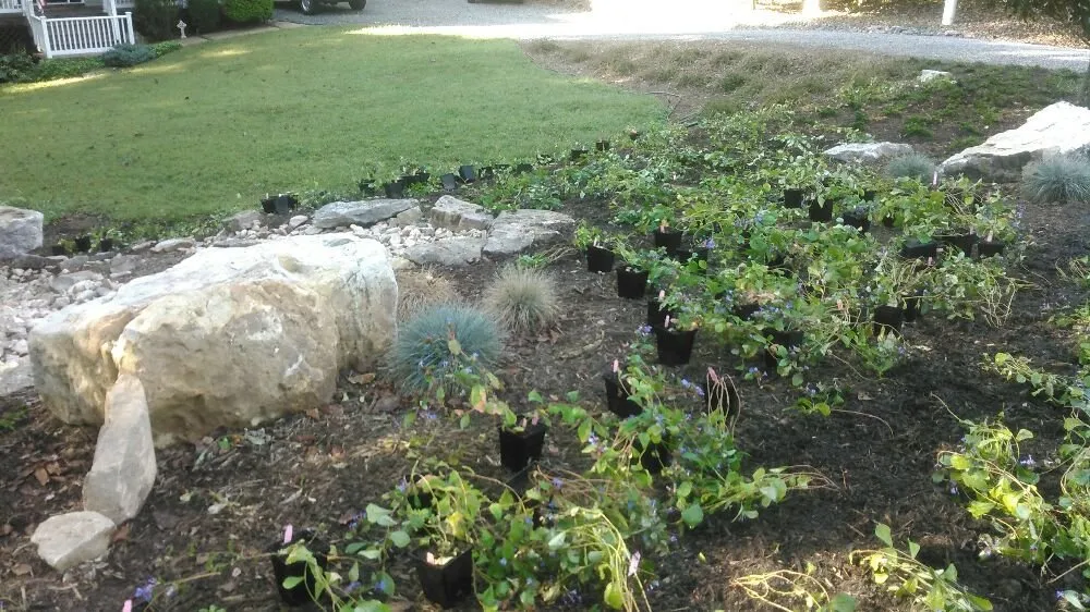 Expert yard maintenance in Charlottesville, VA by Gardenworks Landscape Services