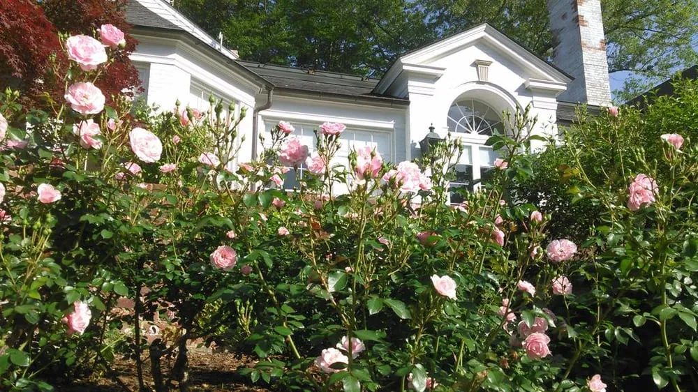 Expert landscaping services in Charlottesville, VA - Gardenworks Landscape Services