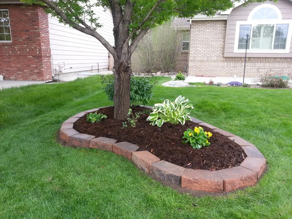 Local yard maintenance for outdoor upgrades across Fort Collins, CO - GardenYards
