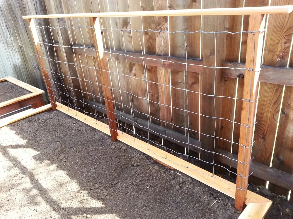 Reliable lawn care service in Fort Collins, CO by GardenYards