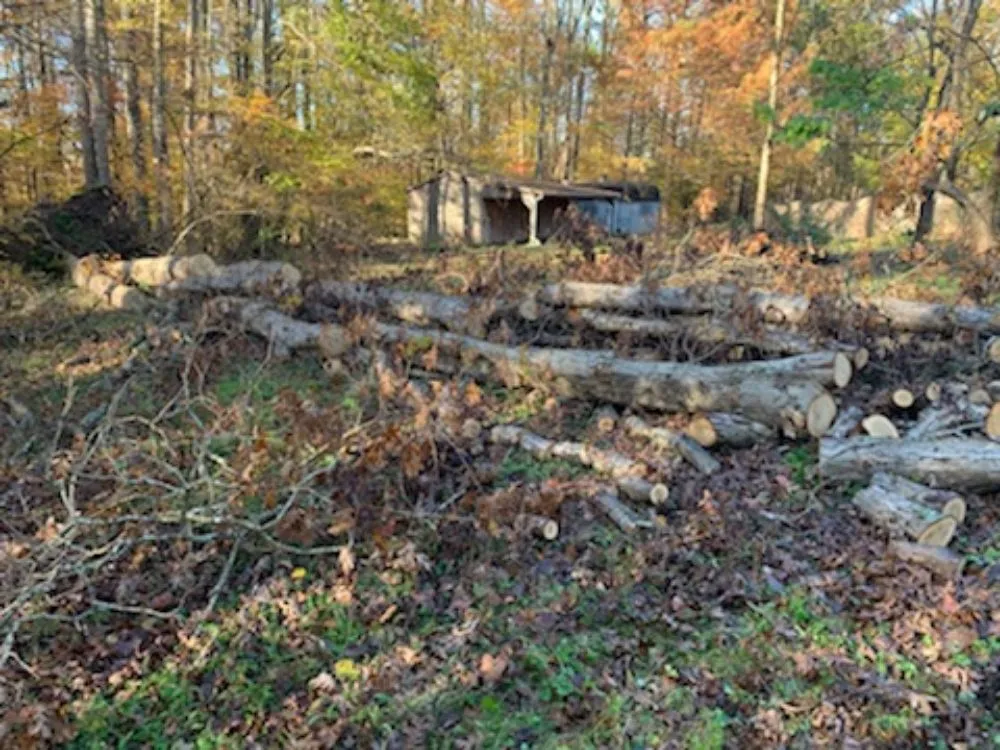 Affordable landscape design for homes in La Plata, MD by Gardiner Lawn Services