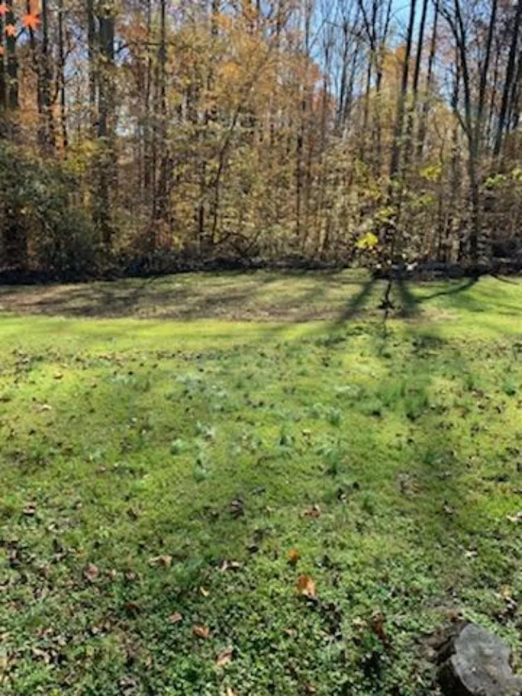 Custom outdoor landscaping experts serving La Plata, MD - Gardiner Lawn Services