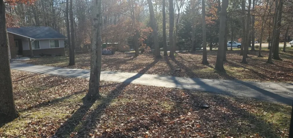 Professional yard maintenance near you across La Plata, MD - Gardiner Lawn Services