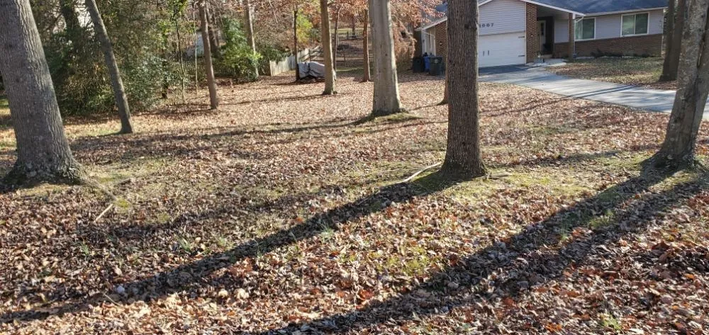 Reliable landscaping services experts serving La Plata, MD - Gardiner Lawn Services