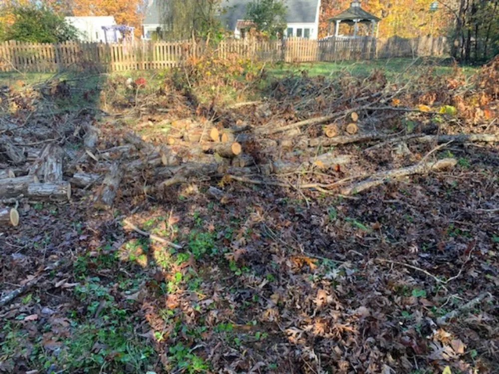 Local residential landscaping in La Plata, MD - Gardiner Lawn Services