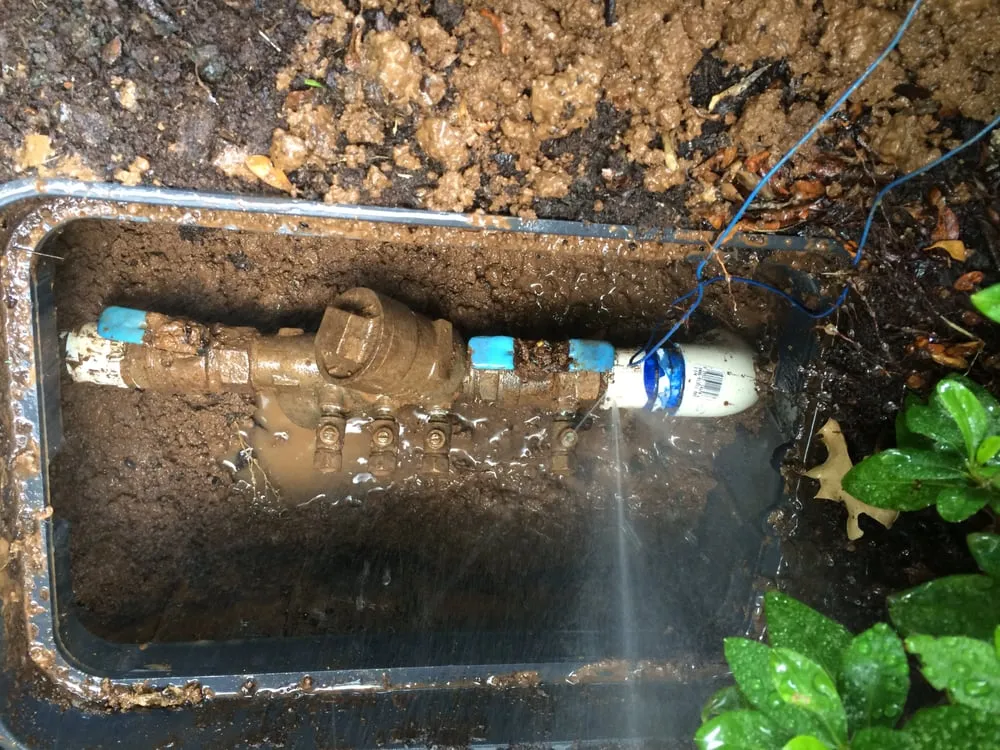 Top-rated landscape installation for homes across Salem, OR - Gardner Landscape