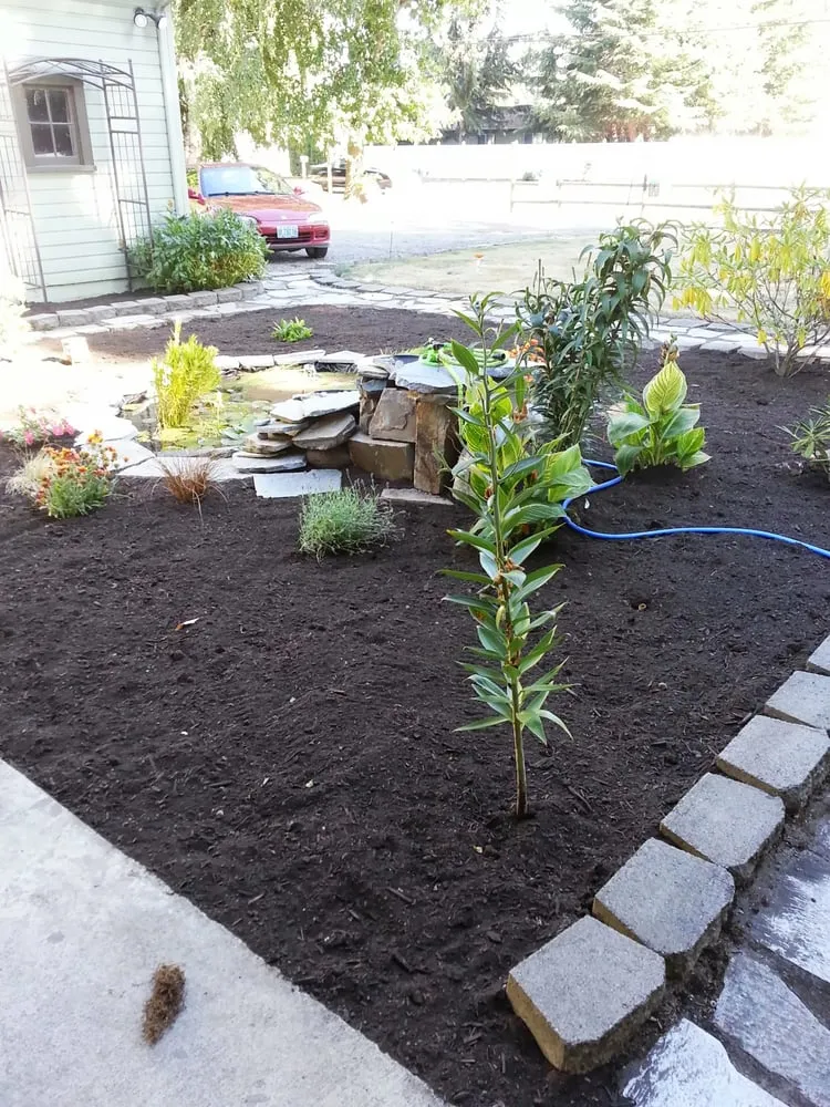 Top-rated yard cleanup service in Salem, OR by Gardner Landscape