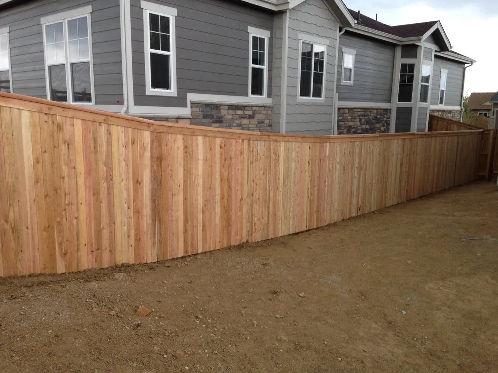 Expert yard cleanup service for residential properties in Lakewood, CO by Gardner Landscape Services