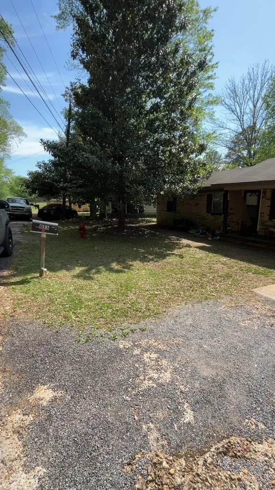 Top-rated outdoor landscaping experts serving New Albany, MS - Gardner Lawncare