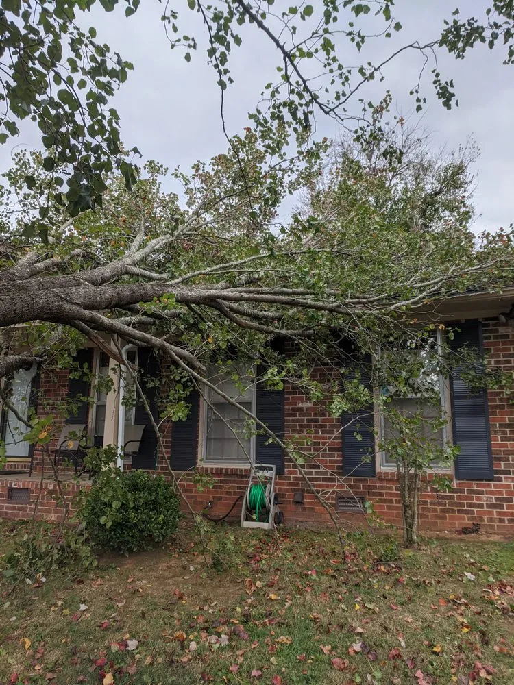 Top-rated yard maintenance in Huntsville, AL by Gardner Tree Service