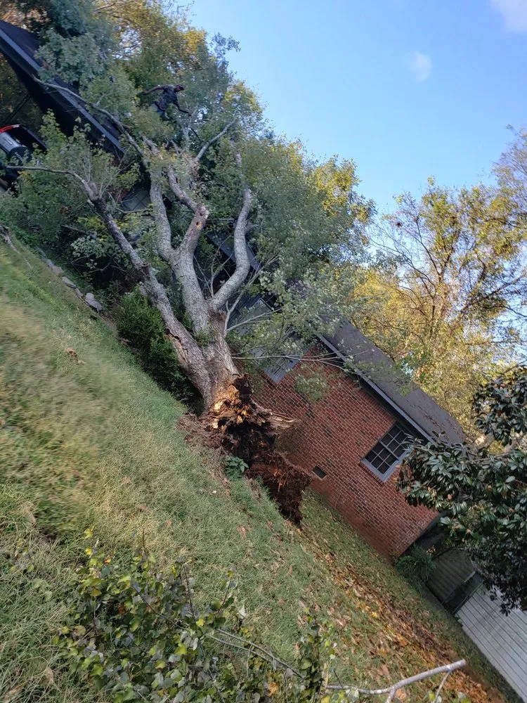 Top-rated residential landscaping for homes across Huntsville, AL - Gardner Tree Service