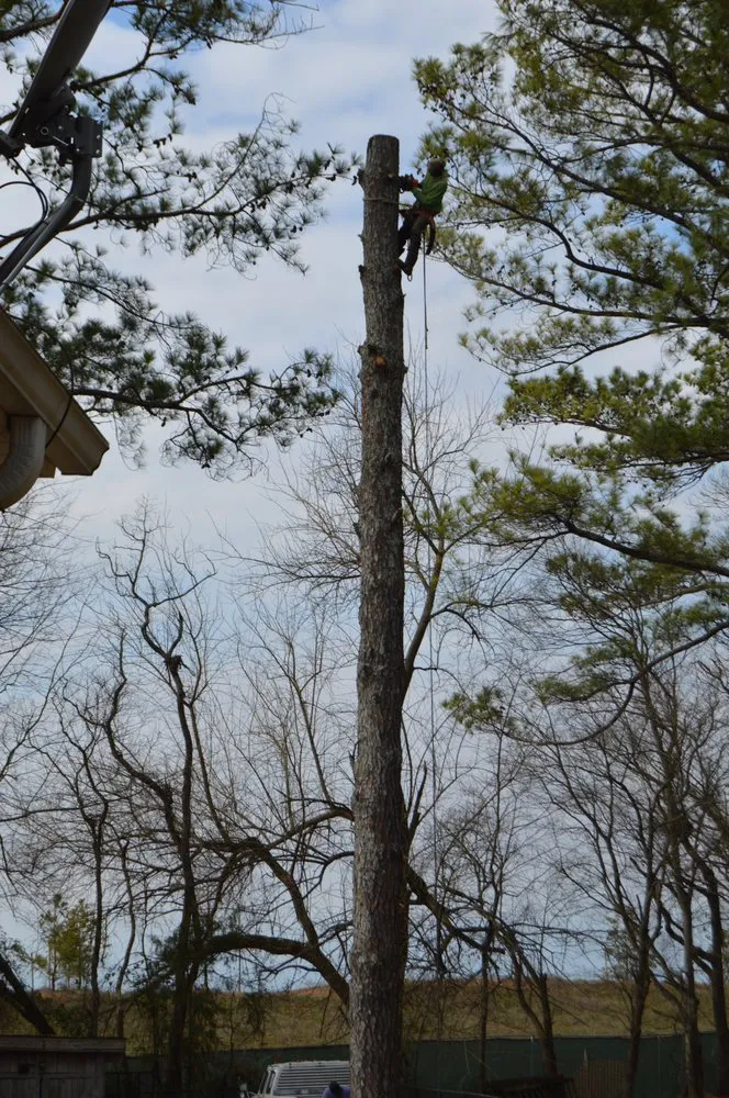 Affordable yard maintenance for year-round maintenance across Huntsville, AL - Gardner Tree Service