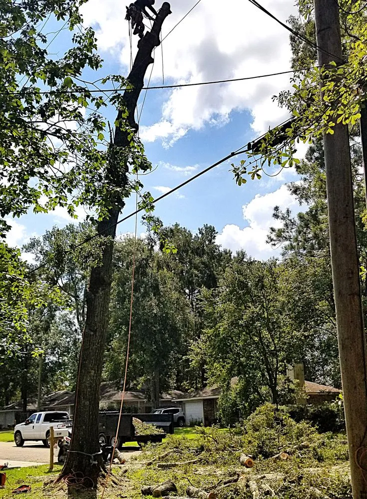 Trusted outdoor landscaping experts serving Metairie, LA - Gardner Tree service